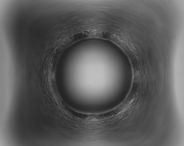 X0000097860913200803211251