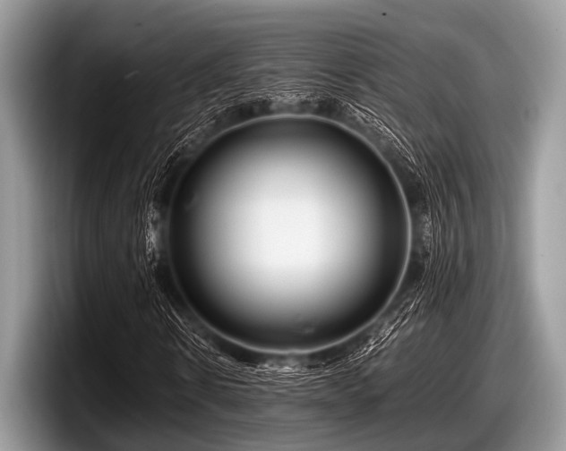 X0000097860914200803211251