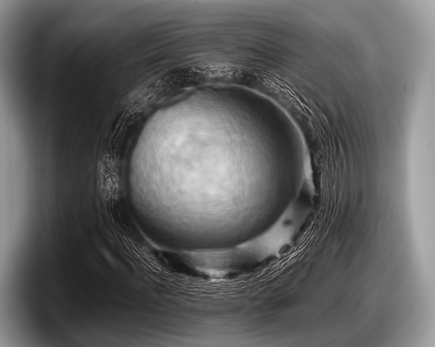 X0000097860916200803211251