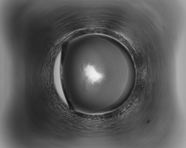 X0000097860919200803211251