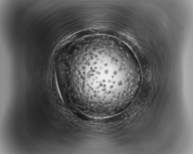 X0000097860920200803211251