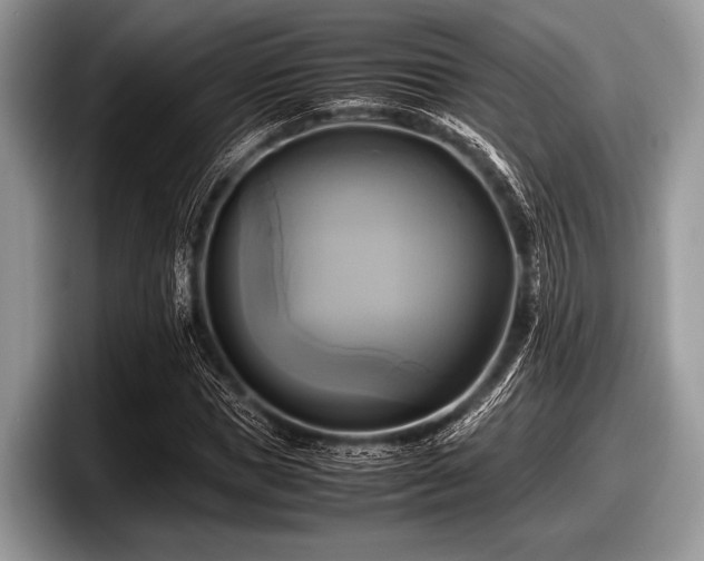 X0000097860921200803211251