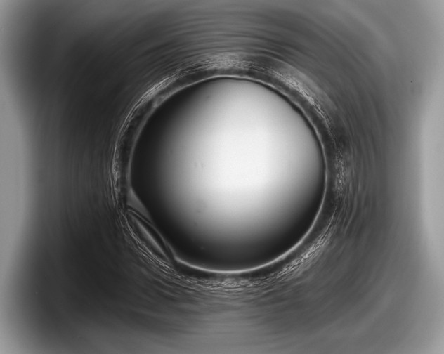 X0000097860922200803211251