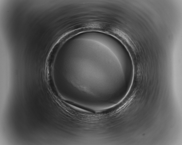 X0000097860923200803211251