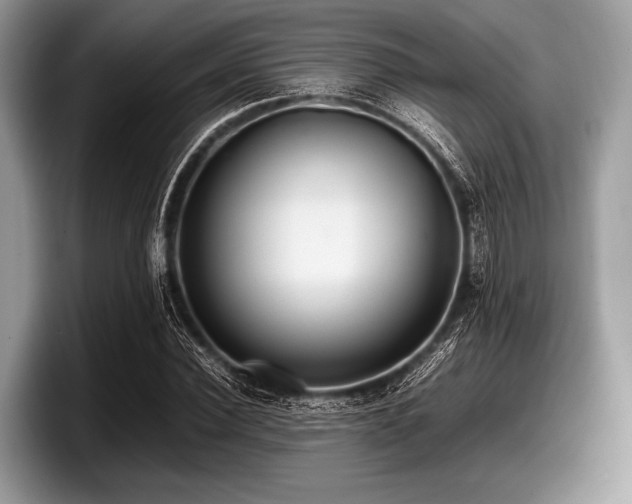 X0000097860924200803211251