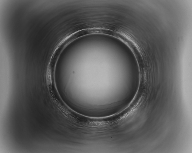 X0000097860925200803211251