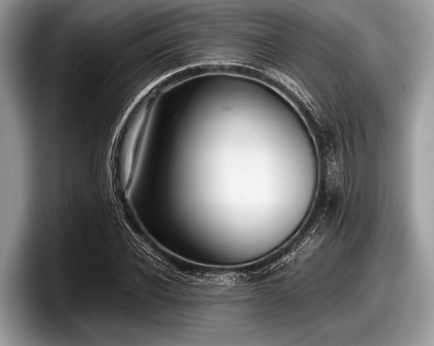 X0000097860926200803211251