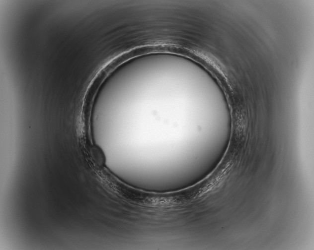 X0000097860927200803211251