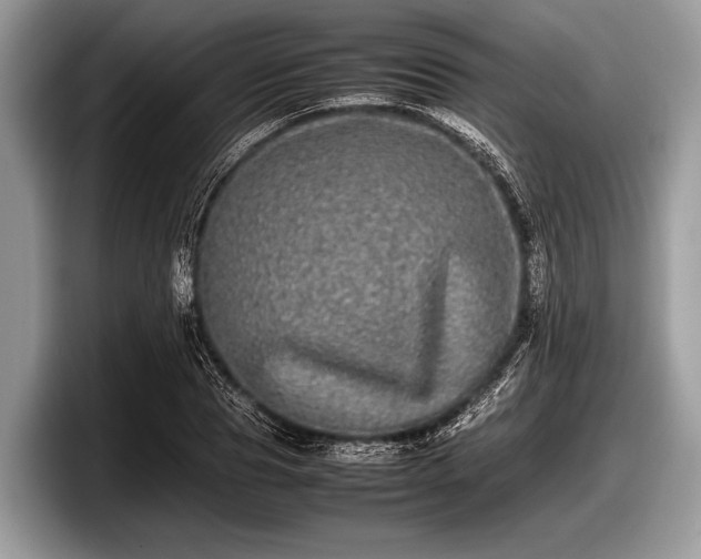 X0000097860929200803211251