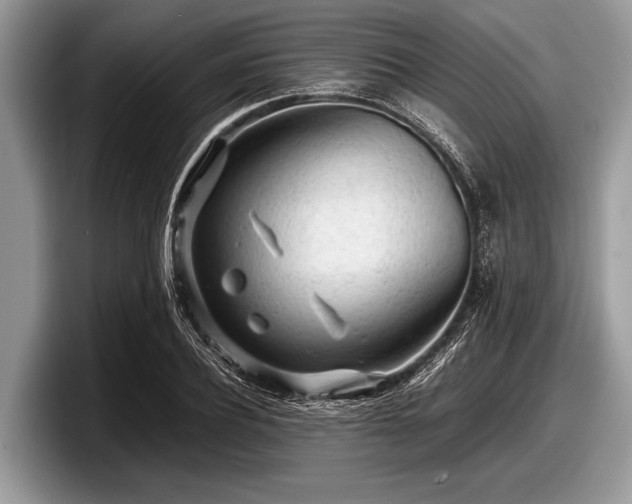 X0000097860932200803211251