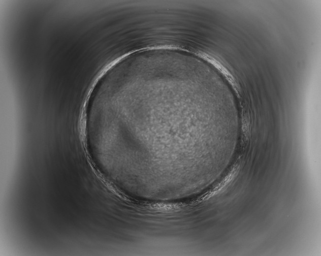 X0000097860933200803211251