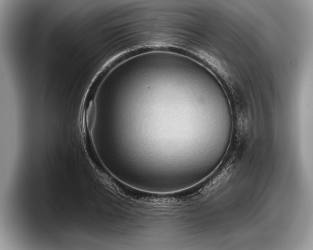 X0000097860934200803211251