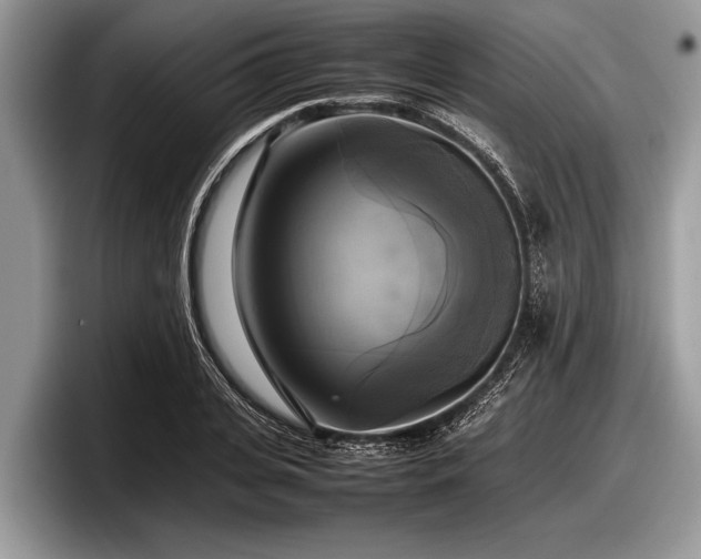 X0000097860935200803211251