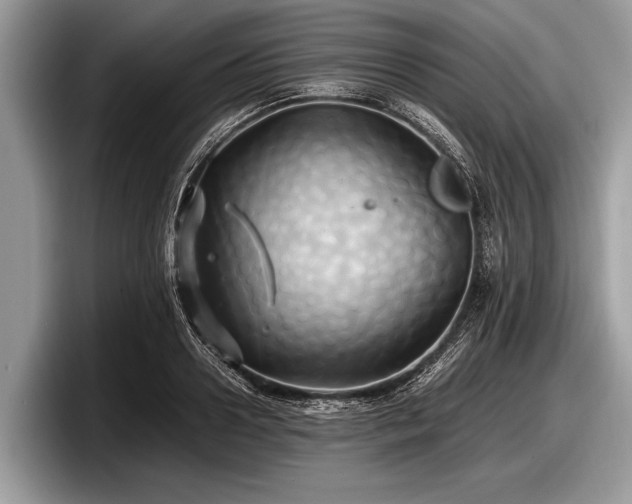 X0000097860938200803211251