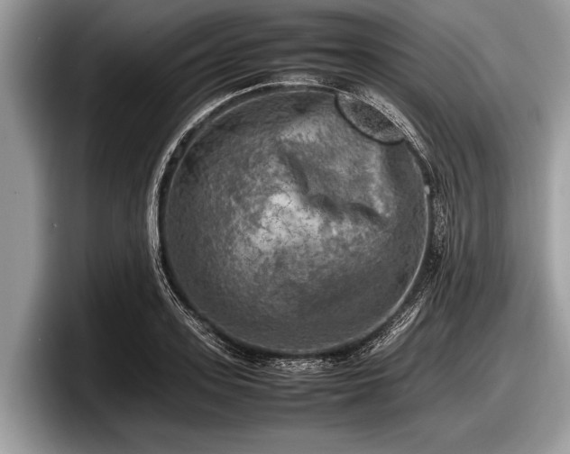 X0000097860939200803211251