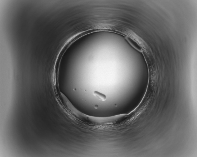 X0000097860940200803211251