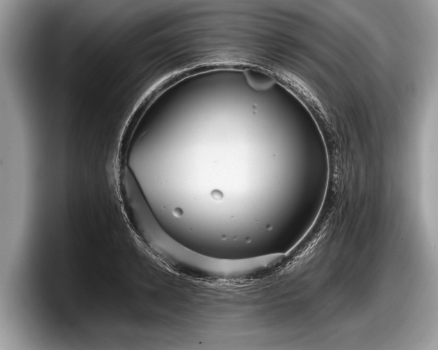 X0000097860942200803211251