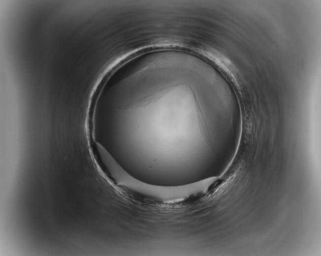 X0000097860943200803211251