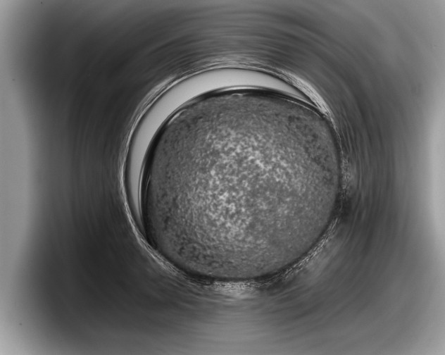 X0000097860946200803211251