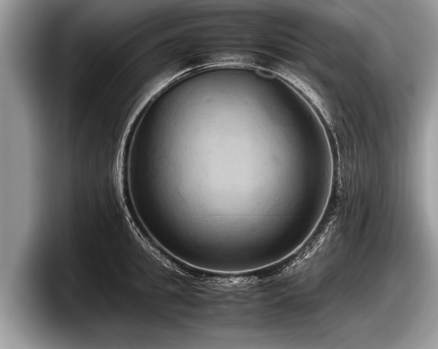 X0000097860949200803211251