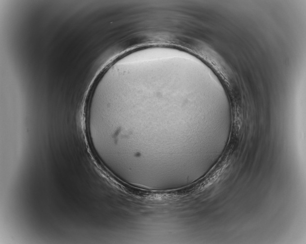 X0000097860950200803211251