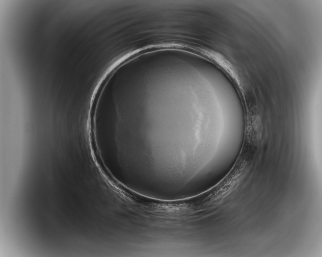 X0000097860951200803211251