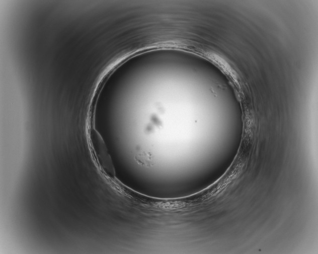 X0000097860952200803211251