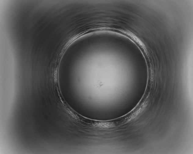 X0000097860953200803211251