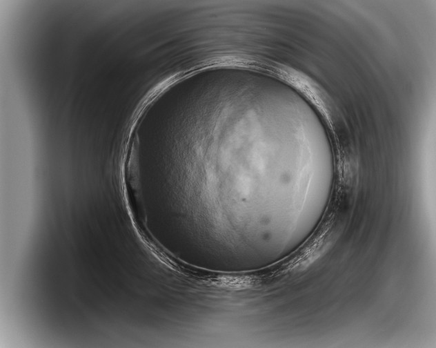 X0000097860954200803211251