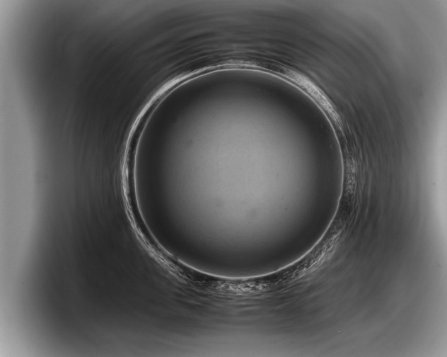 X0000097860955200803211251