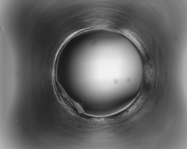 X0000097860956200803211252