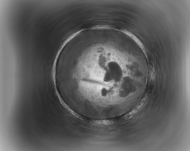 X0000097860957200803211252