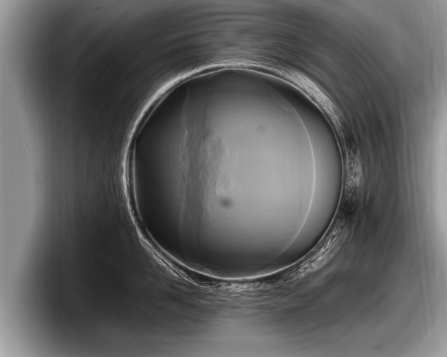 X0000097860958200803211252