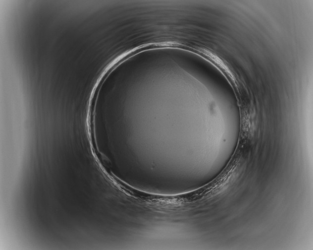 X0000097860959200803211252