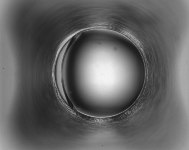 X0000097860960200803211252