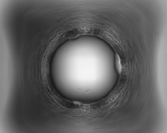 X0000097860961200803211251