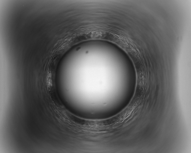 X0000097860962200803211251