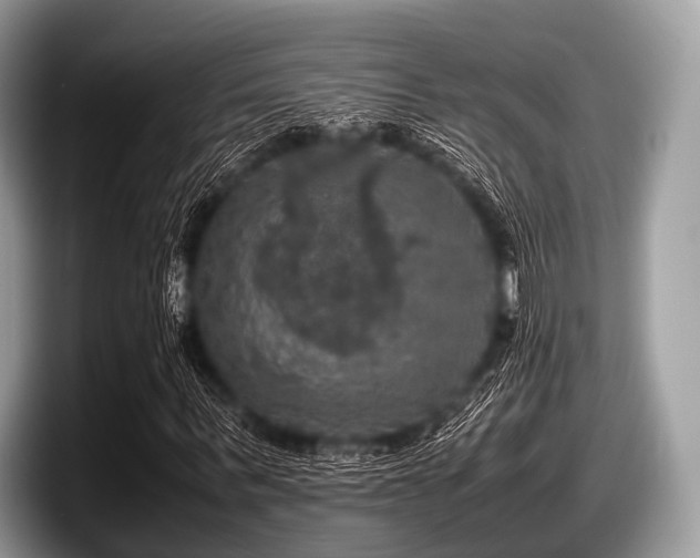 X0000097860963200803211251