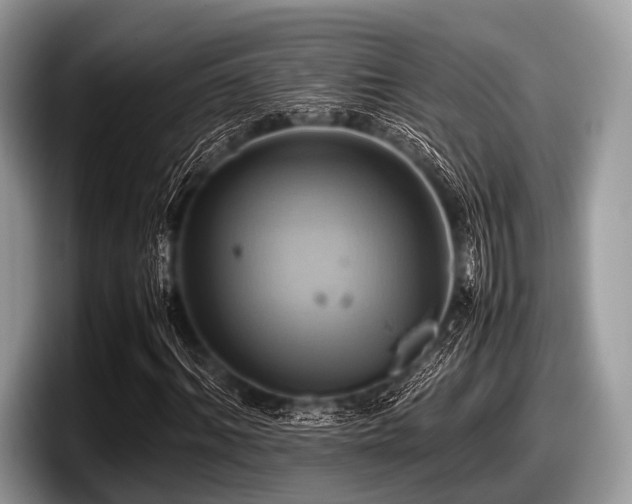 X0000097860964200803211251