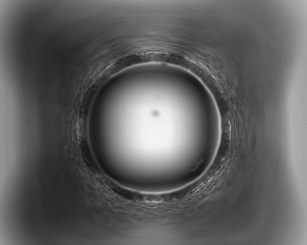 X0000097860965200803211251