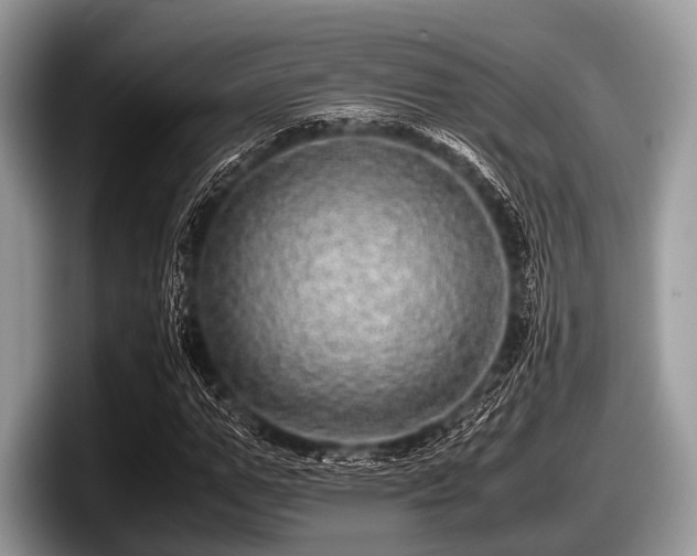 X0000097860967200803211251