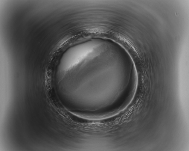 X0000097860968200803211251