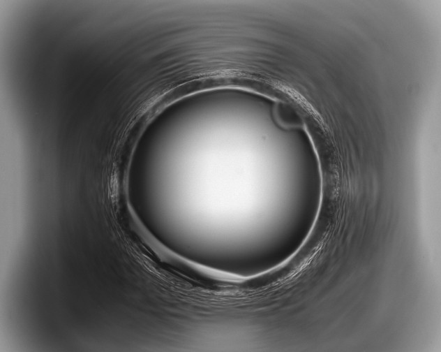 X0000097860969200803211251