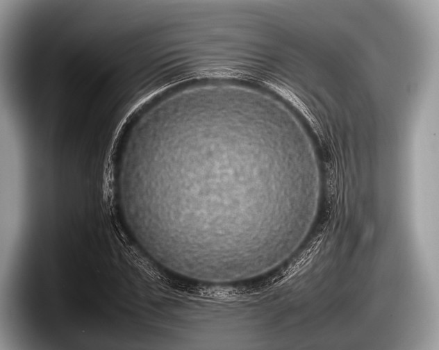 X0000097860971200803211251