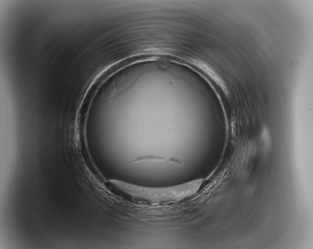 X0000097860972200803211251