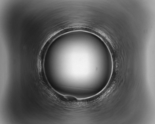 X0000097860973200803211251