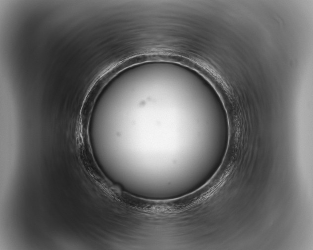 X0000097860974200803211251