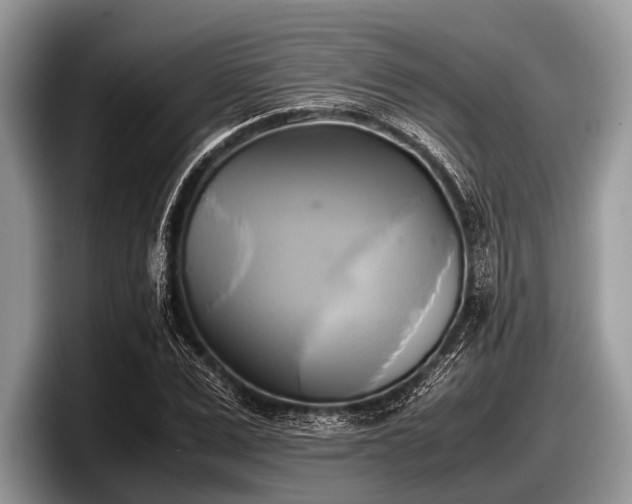 X0000097860975200803211251