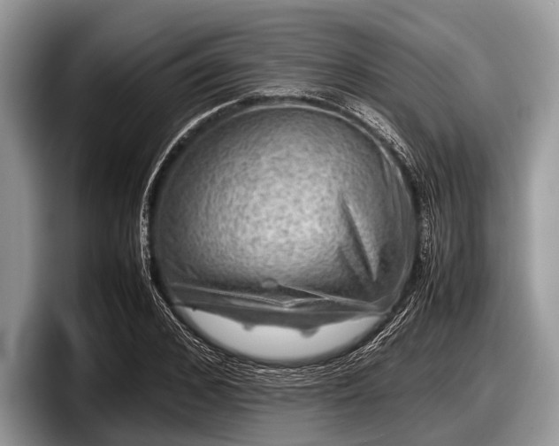 X0000097860976200803211251