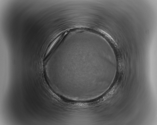 X0000097860977200803211251